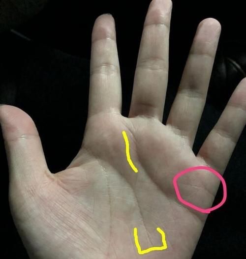 手纹算命图解 男士左手还是右手