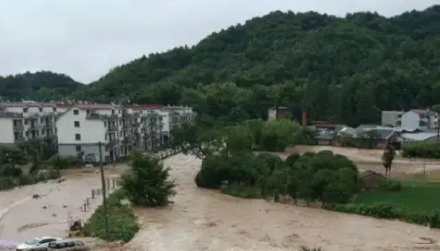 梦见海水暴涨往高处跑,梦见涨大水把树都冲走了图2