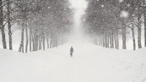 晚上做梦梦见大雪纷飞意味着什么