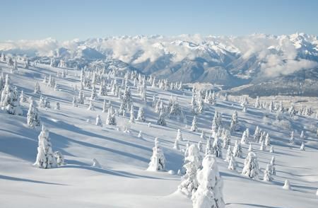 梦见外面下大雪还有人走路的预兆是什么