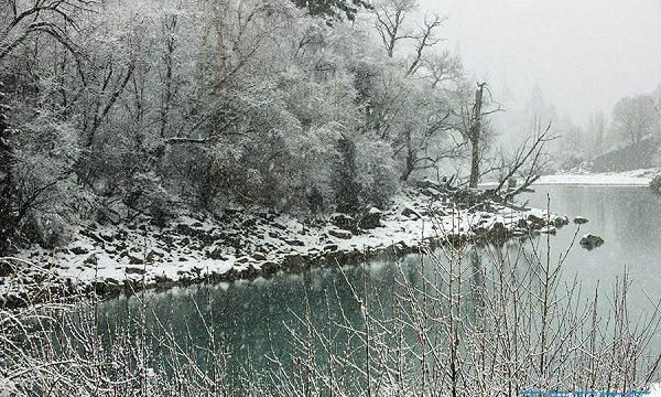 梦见大雪纷飞是什么征兆