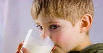 鲜牛奶什么时候喝,鲜奶什么时间喝营养最好吸收图3