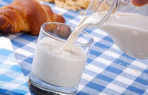 鲜牛奶什么时候喝,鲜奶什么时间喝营养最好吸收图4