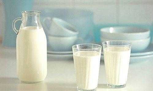 鲜牛奶什么时候喝,鲜奶什么时间喝营养最好吸收图5