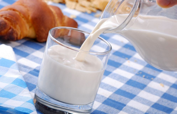 鲜牛奶什么时候喝,鲜奶什么时间喝营养最好吸收图6