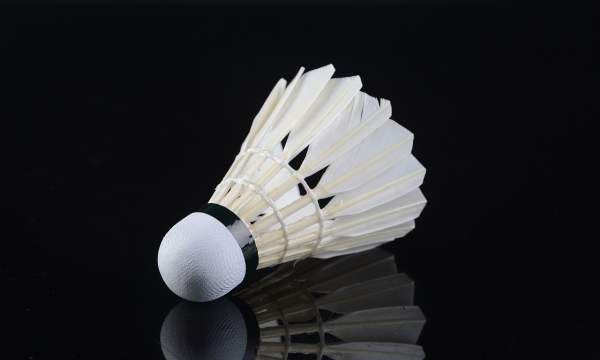 羽毛球大多是什么羽毛制成的,羽毛球大多是用哪种动物的羽毛制成的图1