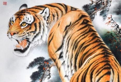 梦见虎是什么意思有什么预兆吗