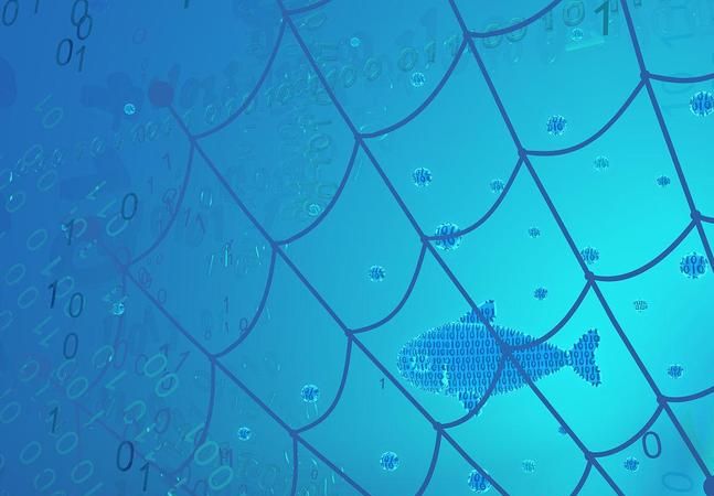 梦见渔网里有很多鱼的预兆是什么