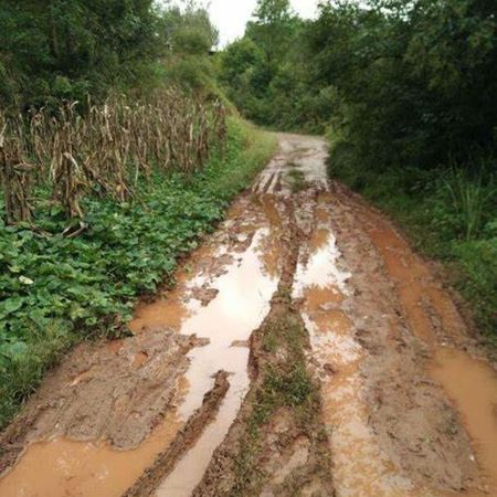 梦见大水淹了回家的路什么意思