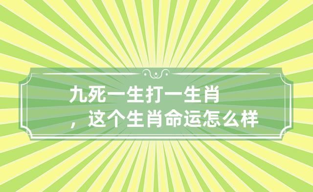 野猪林遇虎如鼠,狗斗龙九死一生猜一生肖