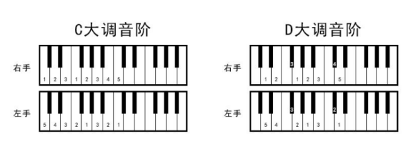 钢琴右手指法图解,钢琴指法入门图左手图5