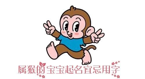 属猴的宝宝起名宜忌字