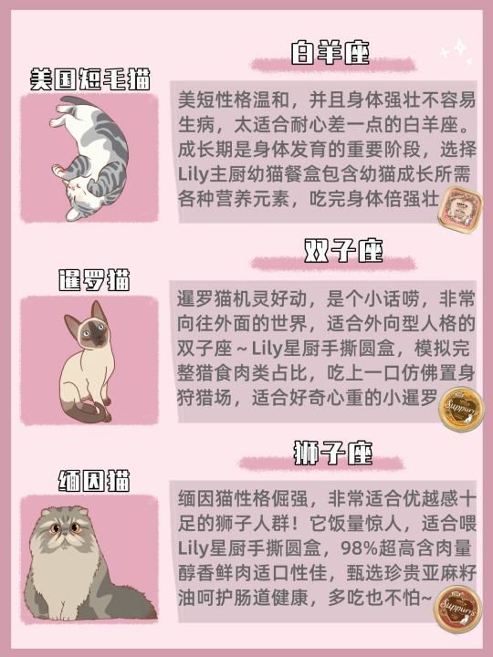 处女座适合养的猫是什么   沙特尔猫,十二星座专属宠物猫咪图3