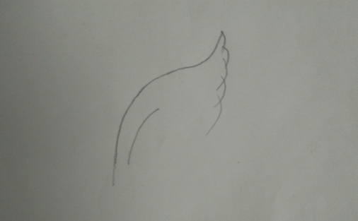 翅膀怎么画,翅膀怎么画图2