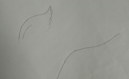 翅膀怎么画,翅膀怎么画图3