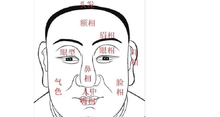 脖子短头大的男人