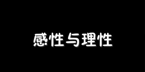 感性是什么意思