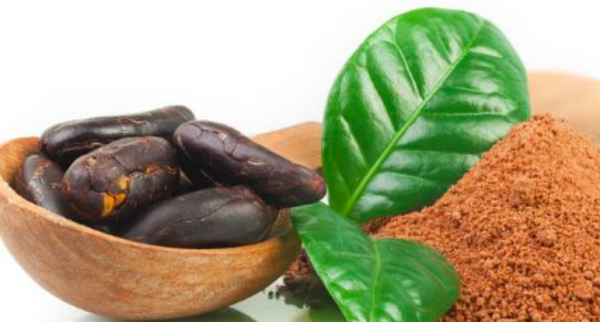 咖啡豆和可可豆,可可豆和咖啡豆的区别及功效与作用图3