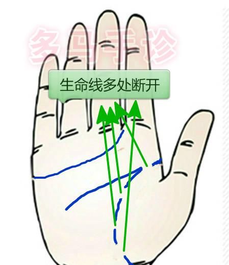 手掌的三条线正确图解图片