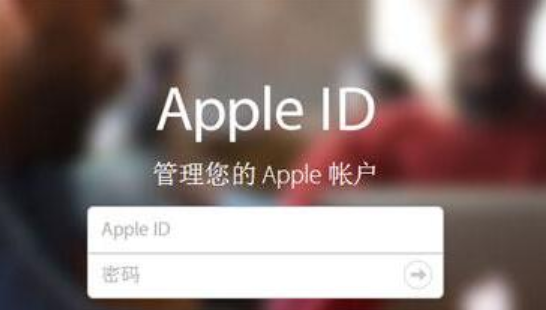 apple id密码是什么,苹果手机apple id密码忘了图4