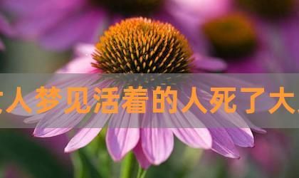 梦见死去的亲人还活着并和我说话