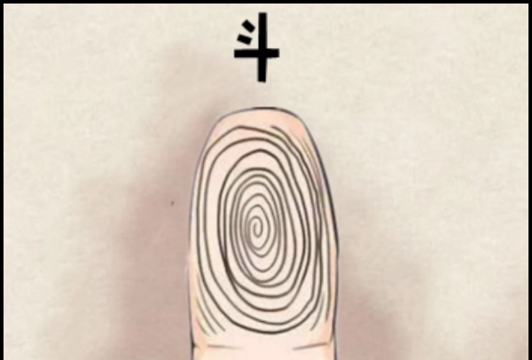 手斗和簸箕的测命 手指头的斗和簸箕代表什么,手指指纹簸箕和斗有什么区别图4