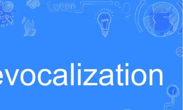 vacalization,月24日托福阅读考试机经图1