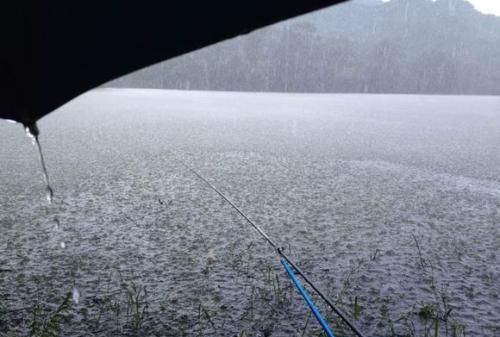 下雨天钓草鱼钓浅还是钓深