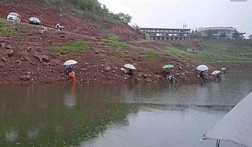 雨天钓鱼钓底还是钓浮,晚秋下雨天钓鱼钓深还是钓浅图4