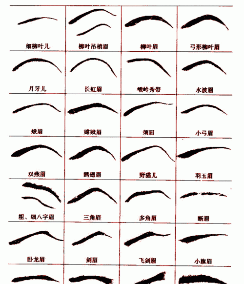 八卦命理:从眉毛看出你的寿命长短吗