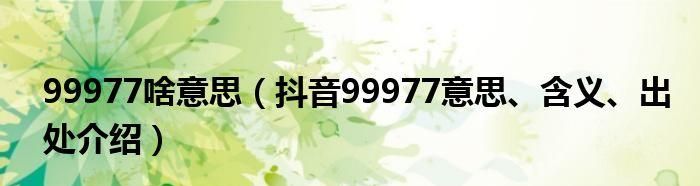 99977是什么意思