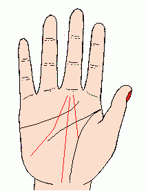 手相的四个基本线条,手心有四条横线代表什么图5