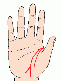 手相的四个基本线条,手心有四条横线代表什么图6