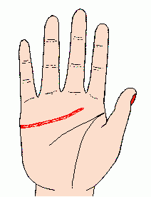 手相的四个基本线条,手心有四条横线代表什么图7