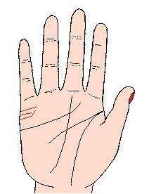 手相的四个基本线条,手心有四条横线代表什么图8