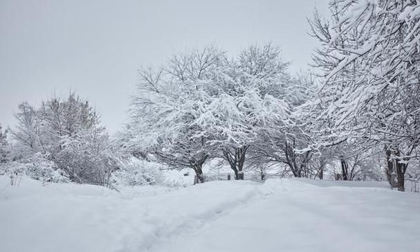 梦见白茫茫一片雪什么预兆