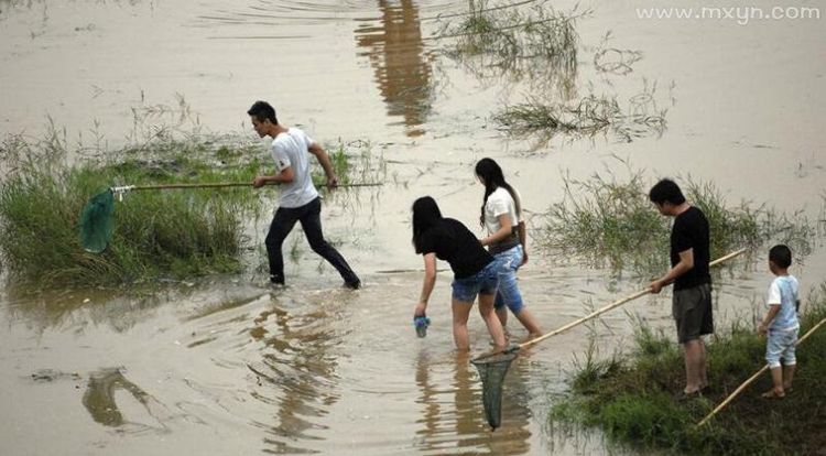 做梦梦见抓鱼是什么意思