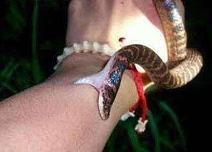 女人梦见蛇咬自己的左手有什么预兆吗