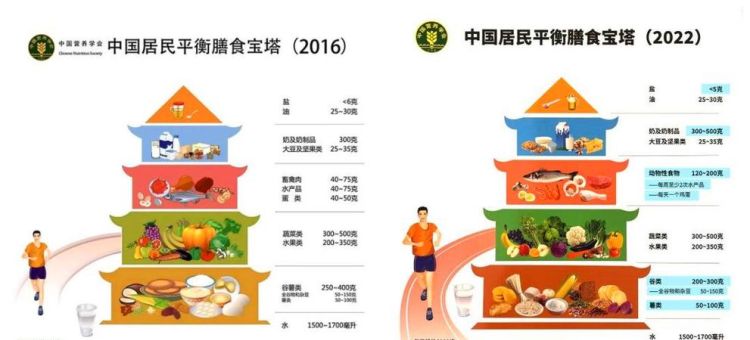 中国居民膳食指南2016共有核心推荐条目几条