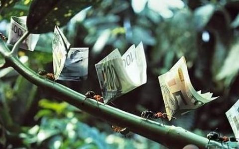 周公解梦损失钱财,梦见自己上当受骗损失了钱财