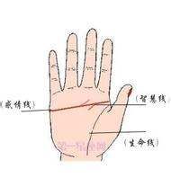 断掌感情线有什么含义,断掌是什么意思图9