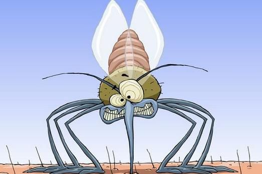 梦见很多蚊子咬人是什么预兆