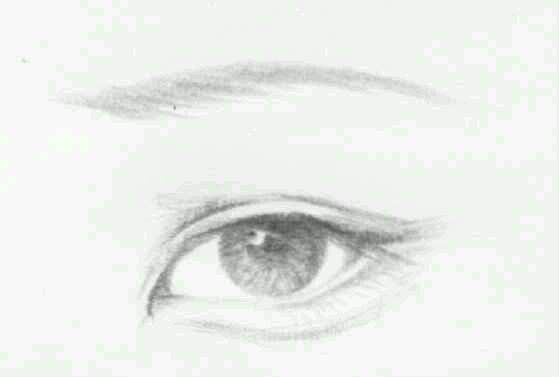 桃花眼和丹凤眼的区别是什么桃花眼比较大,桃花眼和杏眼的区别是什么图3