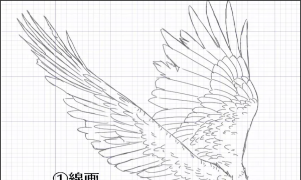 翅膀怎么画帅气,翅膀怎么画好看又简单图7