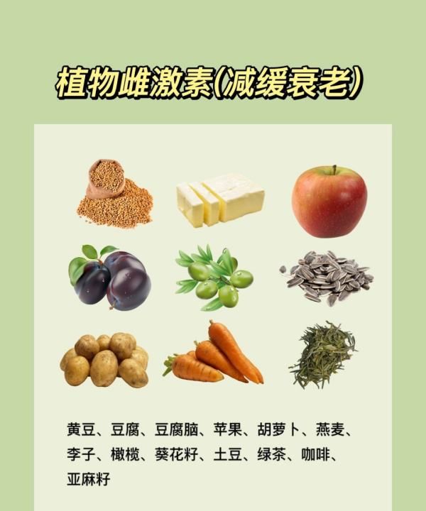 矿物质的作用和功效,富含矿物质的食物有哪些图5