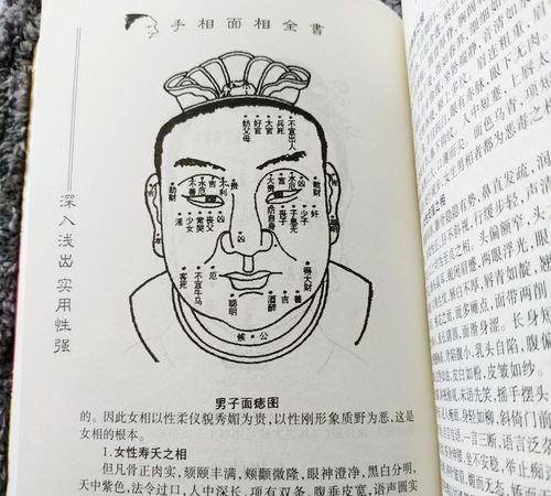 包二奶的男人有本事吗