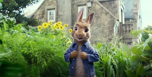 英国斑点兔和家兔区别在哪