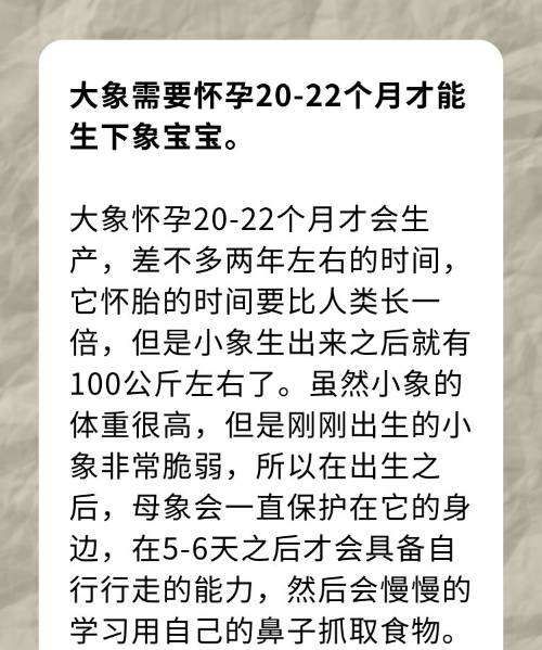 大象怀孕多长时间生小象,大象怀孕多久生产图2