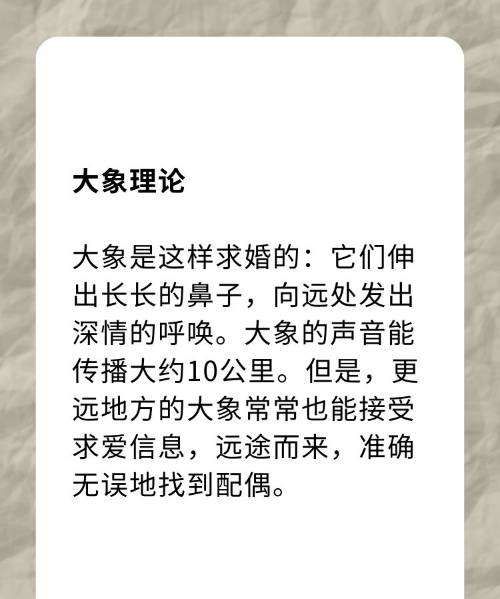 大象怀孕多长时间生小象,大象怀孕多久生产图3