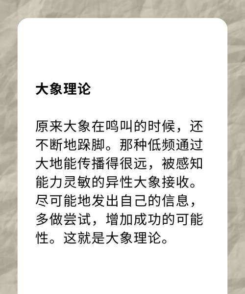 大象怀孕多长时间生小象,大象怀孕多久生产图4